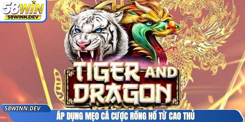 Áp dụng mẹo cá cược Rồng Hổ từ cao thủ