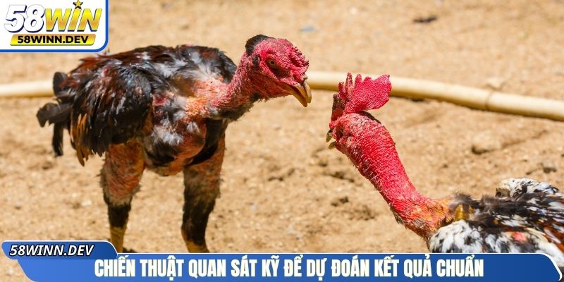 Chiến thuật quan sát kỹ để dự đoán kết quả chuẩn