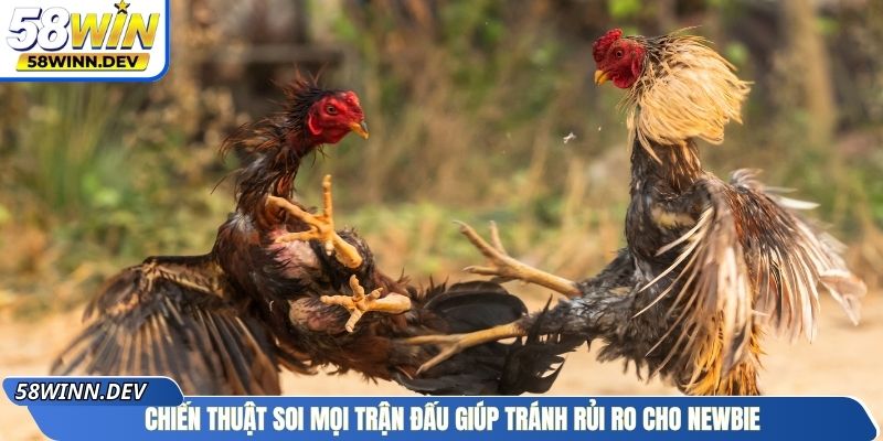 Chiến thuật soi mọi trận đấu giúp tránh rủi ro cho newbie