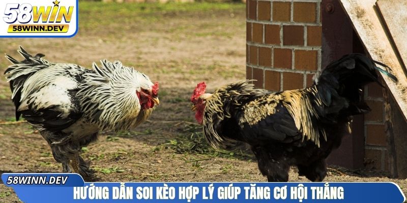 Hướng dẫn soi kèo hợp lý giúp tăng cơ hội thắng
