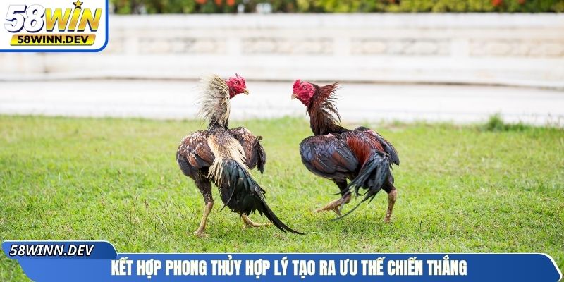 Kết hợp phong thủy hợp lý tạo ra ưu thế chiến thắng