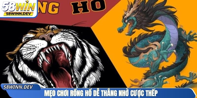 Mẹo chơi Rồng Hổ dễ thắng nhờ cược thếp