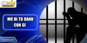 Mơ Đi Tù Đánh Con Gì – Nhà Cái Bật Mí Dãy Số Chuẩn Xác