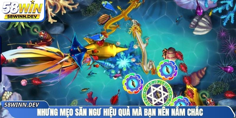 Những mẹo săn ngư hiệu quả mà bạn nên nắm chắc