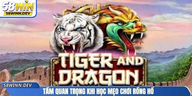 Tầm quan trọng khi học mẹo chơi Rồng Hổ