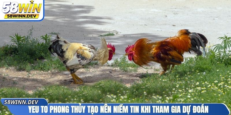 Yếu tố phong thủy tạo nên niềm tin khi tham gia dự đoán